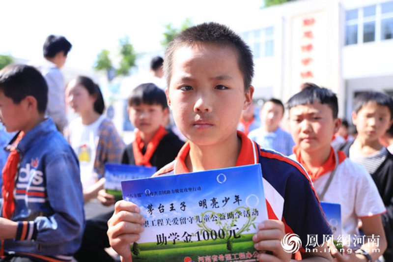 绿色行动：公益组织引领环保新风尚
